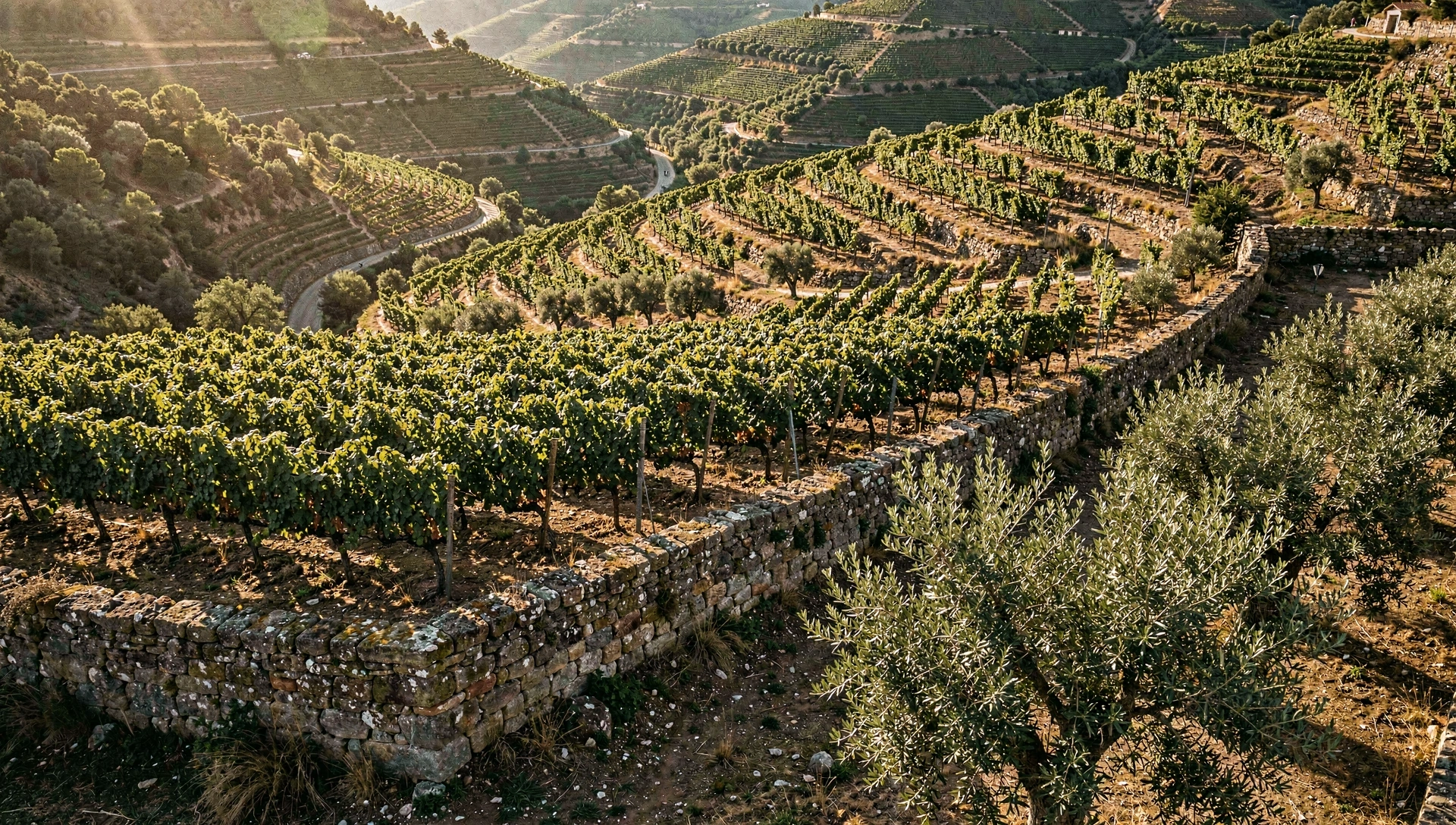 Paisagem de Nutrição